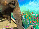 Mae Sa Elephant Camp