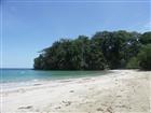 Punta Uva
