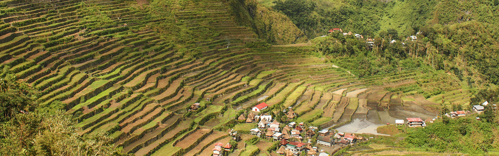 מסע אל טרסות האורז  - צפון מדינת הפיליפינים