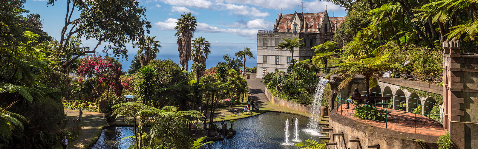 מדיירה – טיול בין הרים וים כחול