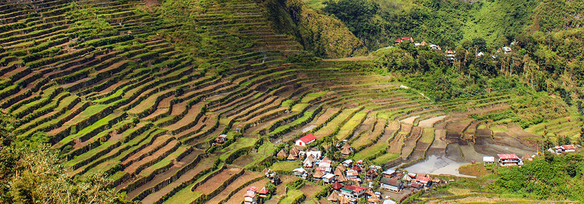 טיסות ישירות לפיליפינים מחודש אפריל