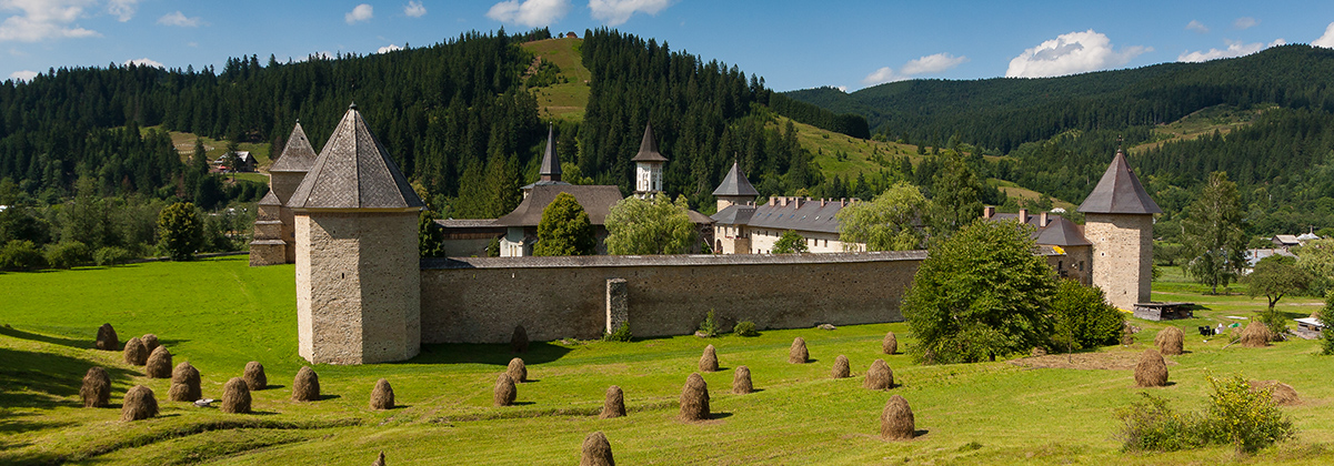 החל מינואר: טיסות ישירות לסוצ'אבה שברומניה