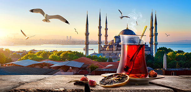 חברת אל-על תפעיל את קו ת"א-איסטנבול