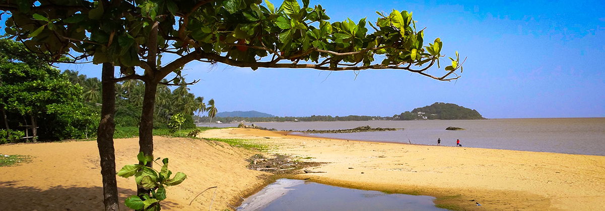 מידע על קאיין