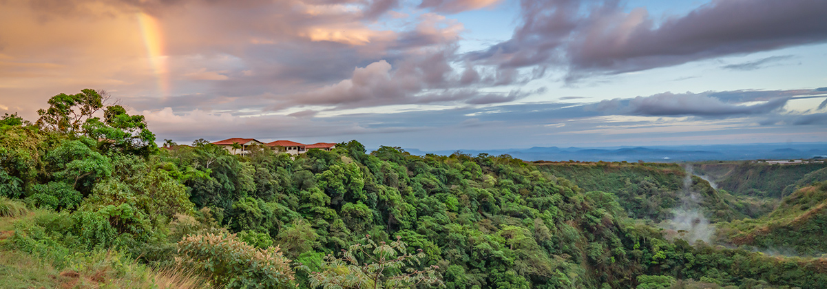 מידע על בוקטה
