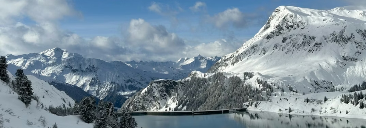 בתי מלון בגלטור