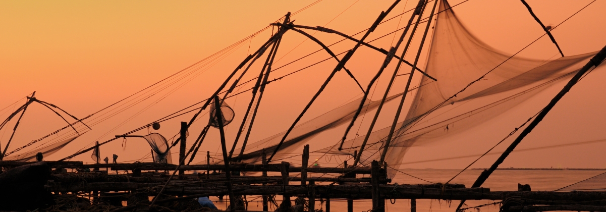 טיסות לקוצ'י