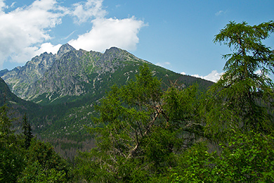 טיסות זולות לפופרד