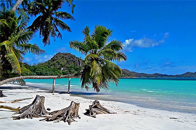 טיסות זולות לפורט לואיס