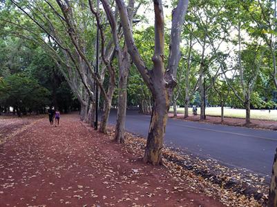 פארק גנרל סן מרטין