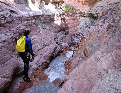 Plateau Point Trail