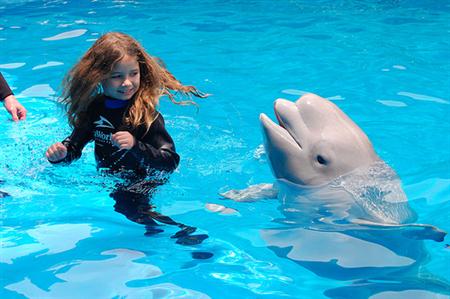 עולם המים של סן אנטוניו