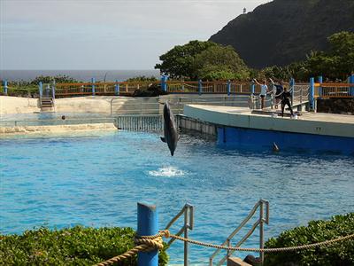 סי לייף פארק הוואי