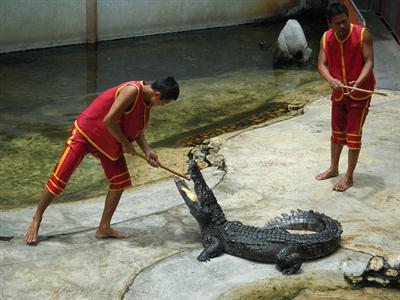 פארק האבן בן מיליון השנים 