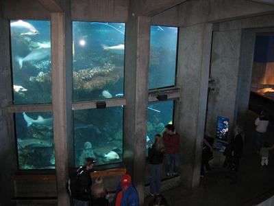 ניו אינגלנד אקווריום