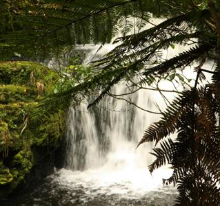 McLean Falls