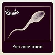 רונן אוסטרו