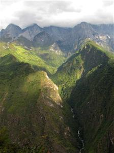 ערוץ דילוג הנמר