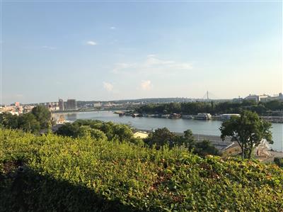 תמונה  2מבלגרד