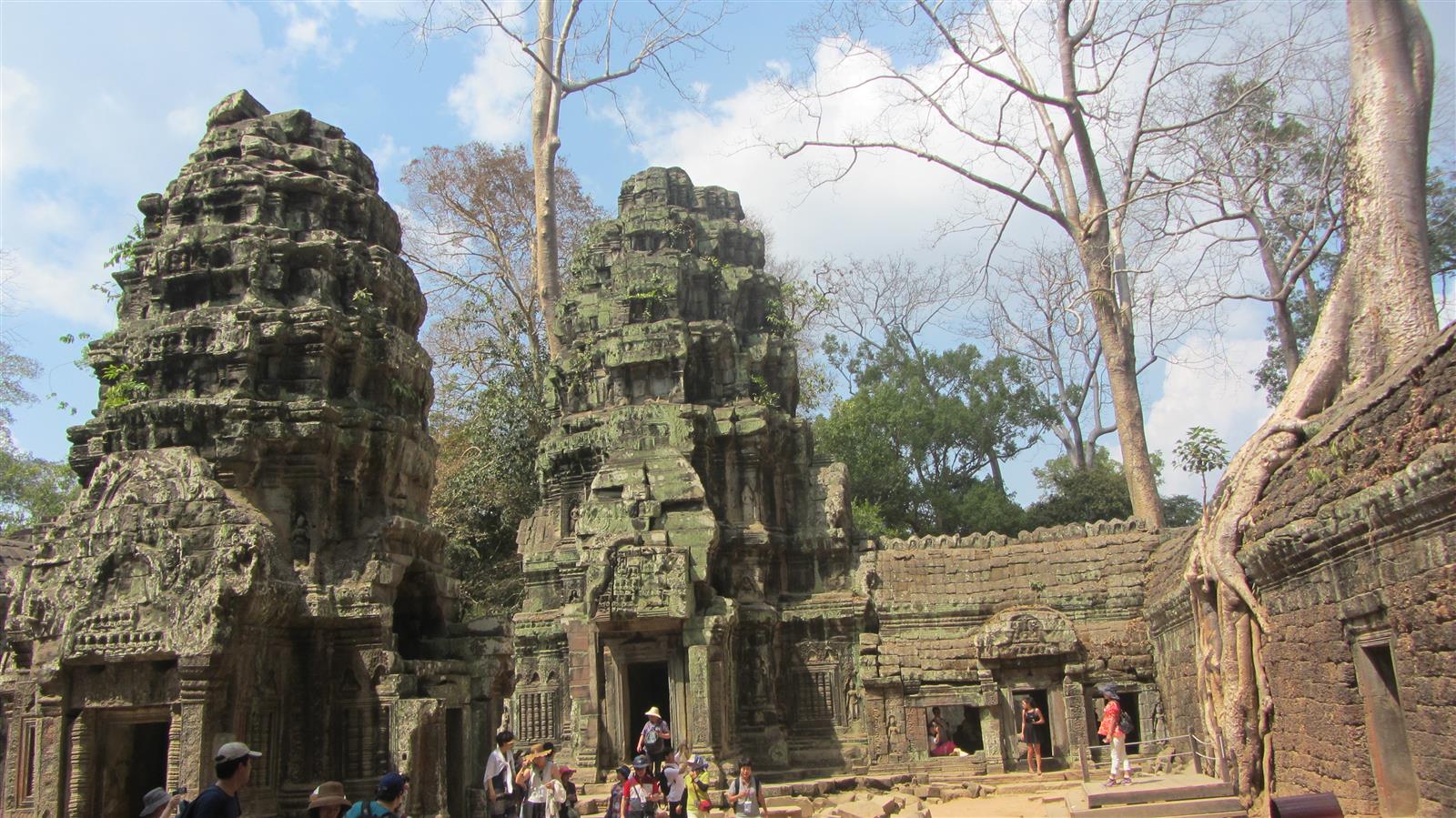 קמבודיה פברואר 2015