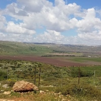 יוסי כהן