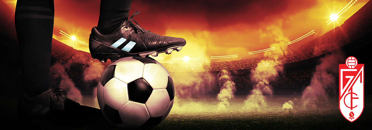 כרטיסים לגרנדה